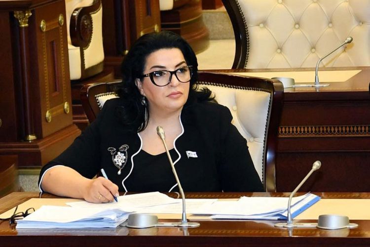 Fatma Yıldırım: "Bu il sosial layihələrin həcmi rekord həddə çatıb"
