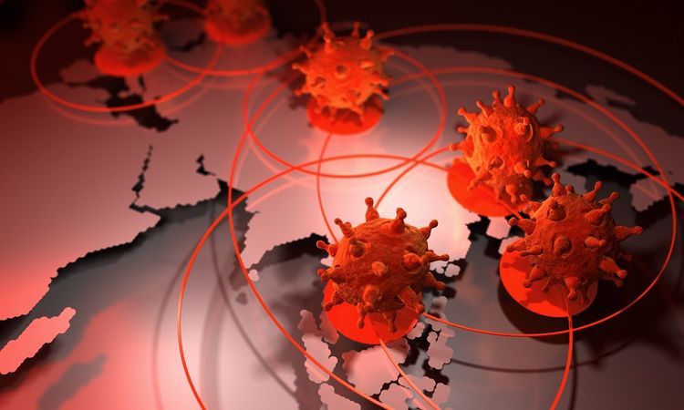 Global coronavirus cases top 20 million