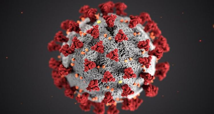 Saudi Arabia registers 1,413 new coronavirus cases