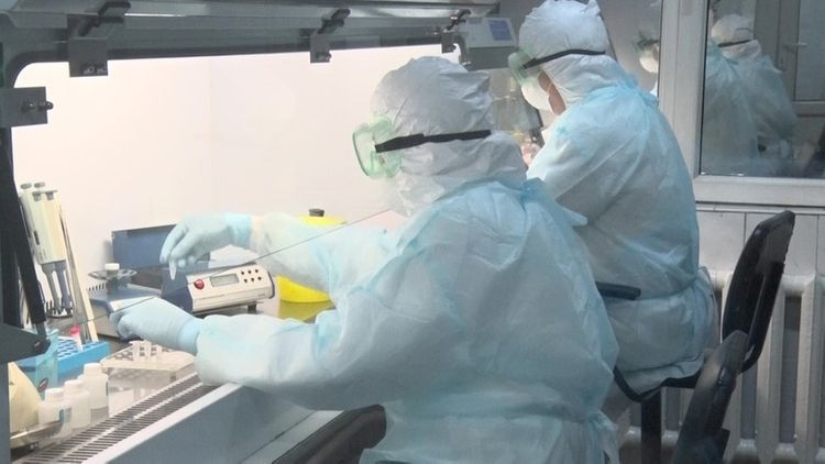 Kazakhstan reports 256 coronavirus and 723 pneumonia cases