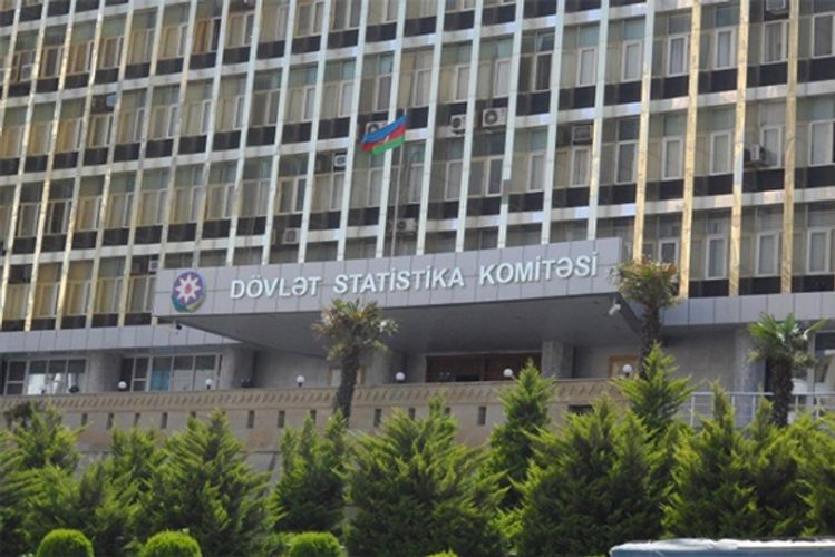 Dövlət Komitəsi: Narkotikə görə tutulanların 68%-ni işləməyən və oxumayanlar təşkil edib