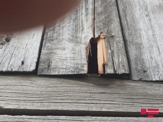 Ermənilər Tovuzun Ağdam kəndini atəşə tutublar - FOTOSESSİYA - YENİLƏNİB