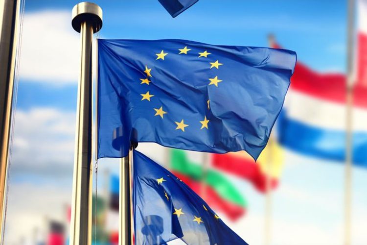ЕС изучает введение санкций против 15-20 беларусских чиновников