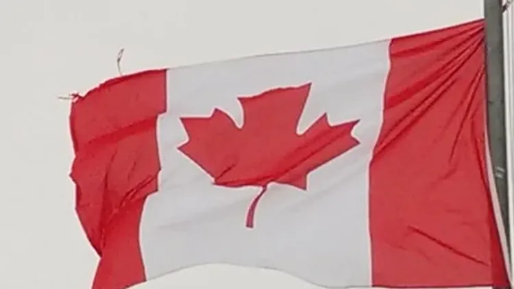 Американец заплатит полмиллиона долларов за нарушение карантина в Канаде