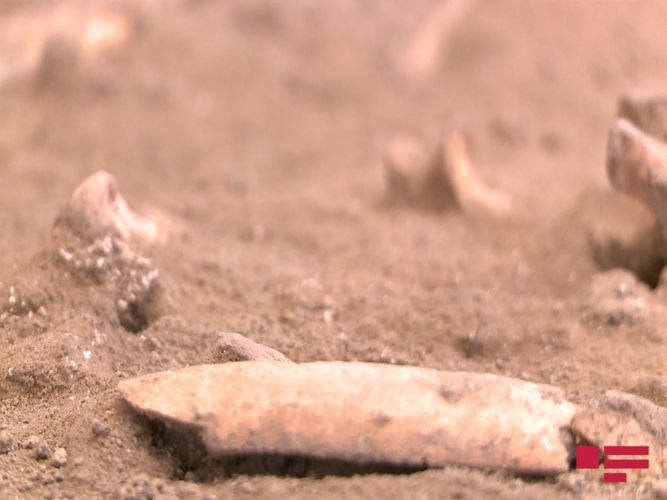 В Физули обнаружено кладбище эпохи неолита – ФОТО 