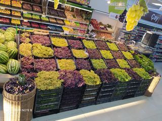 "Araz" supermarketlərində "Üzüm Festivalı" keçirilir ® - FOTO