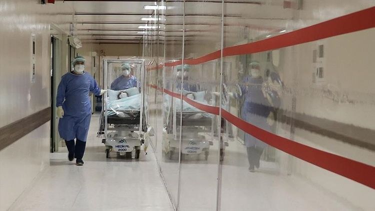В Турции за сутки от коронавируса скончались еще 187 пациентов 