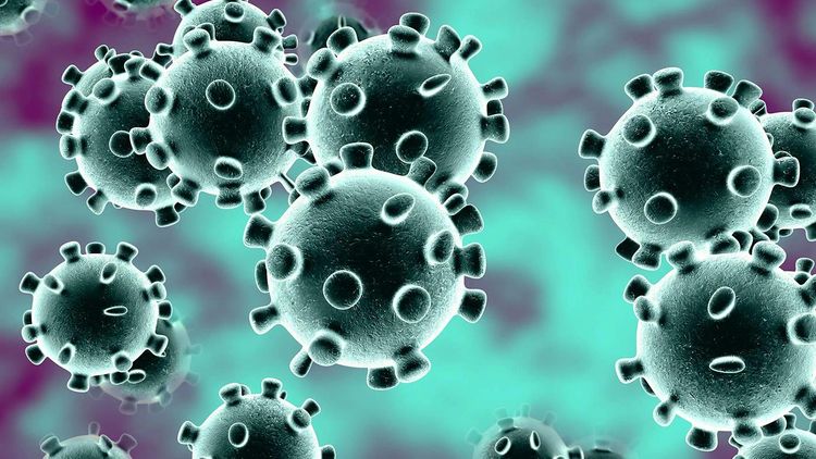 Novel coronavirus causes immune disorders that can be deadly, expert warns