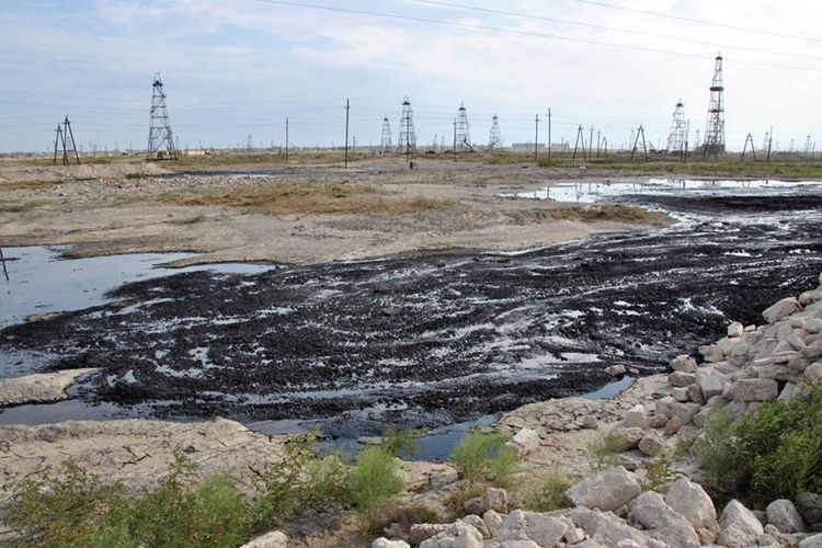 Abşeron yarımadasında neftlə çirklənmiş torpaqların sahəsi 25 min ha-dan çoxdur