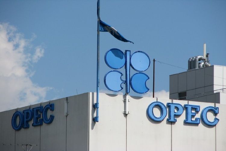 OPEC member states manage to comply with the OPEC+ oil cuts by 104% in November