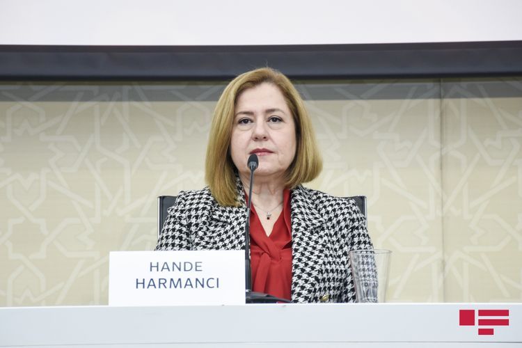 WHO provides technical support to development of international vaccine plan in Azerbaijan