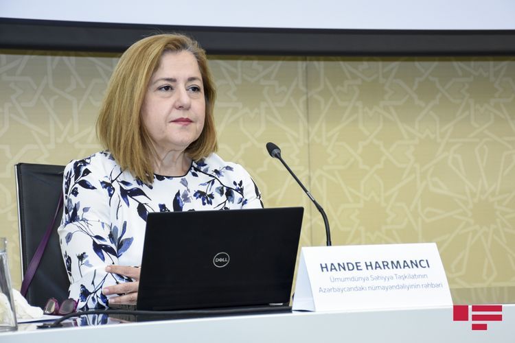 Ханде Харманджи охарактеризовала предстоящие 3 месяца как критичные