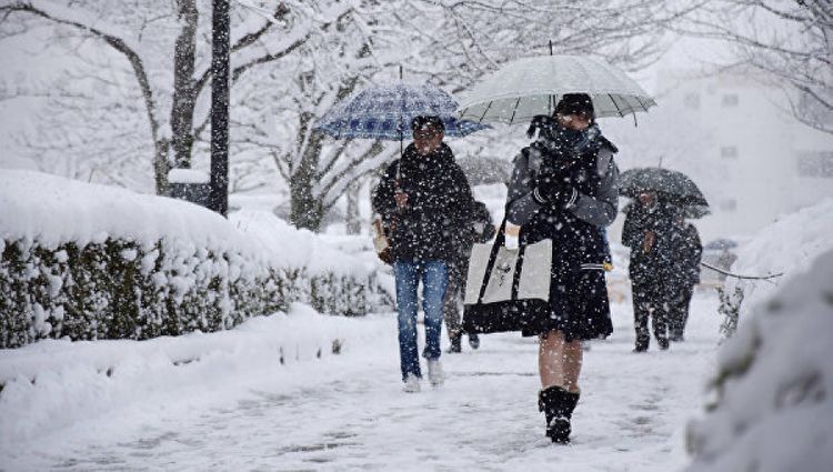  В Японии из-за снегопадов без электричества остались 9 тысяч домов