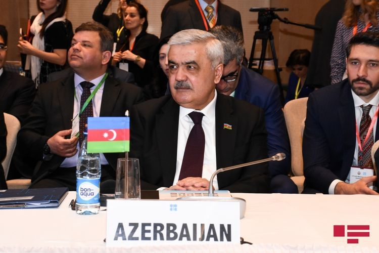Ровнаг Абдуллаев избран председателем правления SOCAR Турция