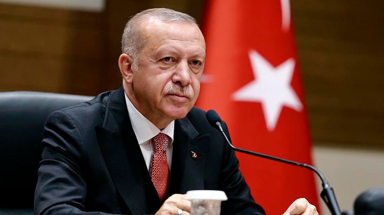 Эрдоган: Турция и Великобритания 29 декабря подпишут соглашение о свободной торговле