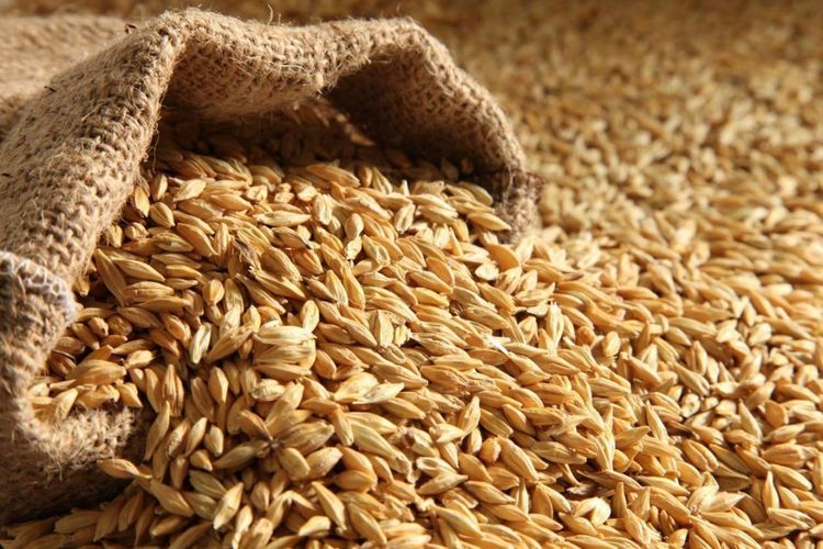 Azerbaijan decreases wheat import by more than twice in November