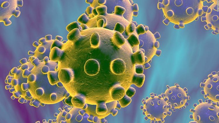 Patient with coronavirus recovering in Russia
