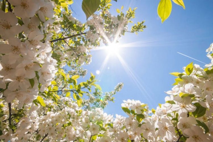 Meteorological arrival time of spring in Azerbaijan and dates of Chershenbes of Novruz disclosed
