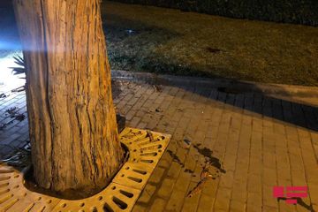 Скончался водитель-полицейский врезавшегося в дерево мотоцикла в Баку  ОБНОВЛЕНО-1-ФОТО-ВИДЕО