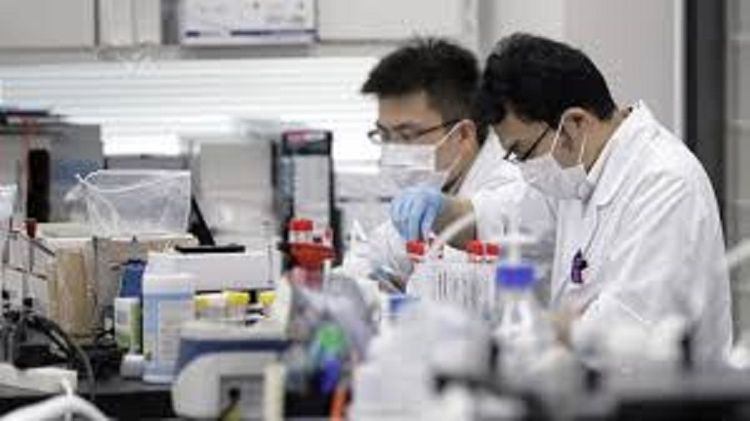 China scientists identify pangolin as possible coronavirus host