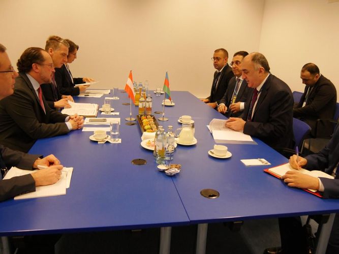 Elmar Məmmədyarov Avstriyanın Avropa və Beynəlxalq İşlər üzrə Federal naziri ilə görüşüb