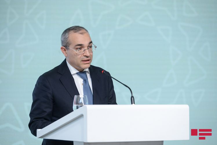 Nazir: "Vergi daxilolmalarının 9%-i nəzarət tədbirləri hesabına təmin edilib"