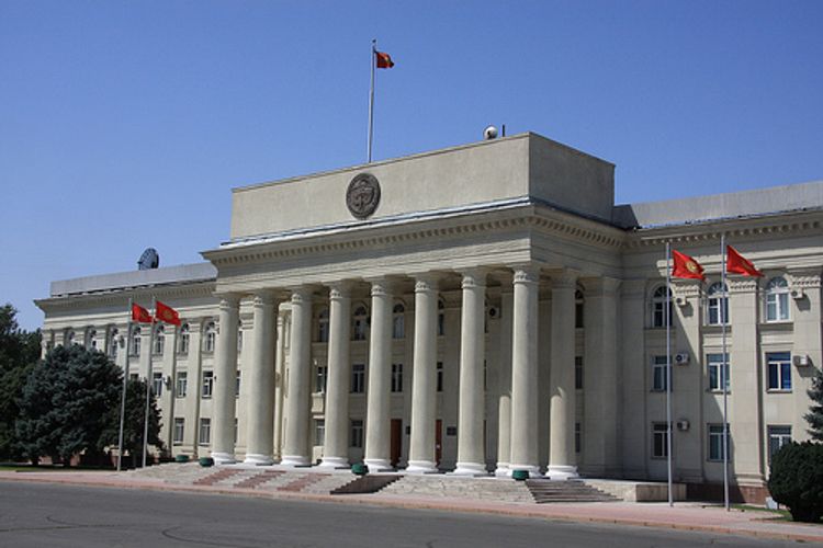 Kyrgyz woman convicted to 4.5 years in jail for trying to sell her baby via internet