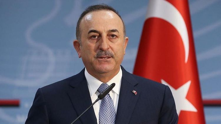 Turkish FM: "Global system failed to end Libyan crisis"