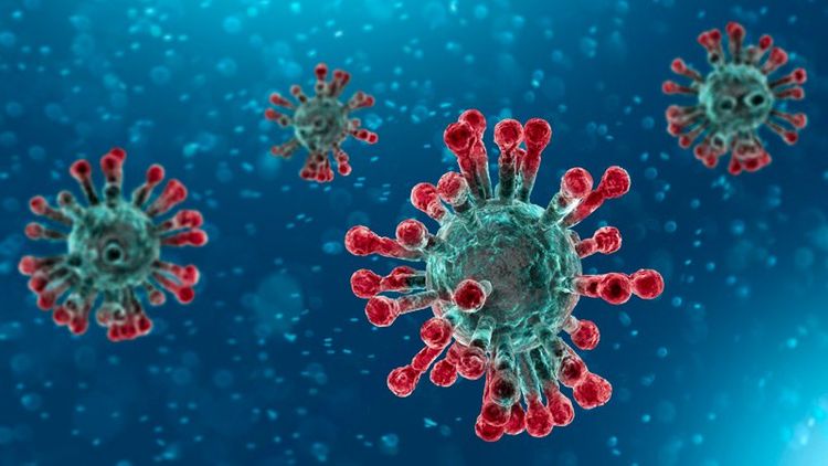 First case of coronavirus confirmed in Lebanon