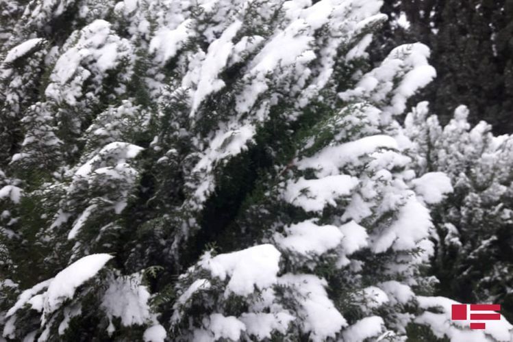 Strong wind to blow, snow to fall in Azerbaijan - WARNING