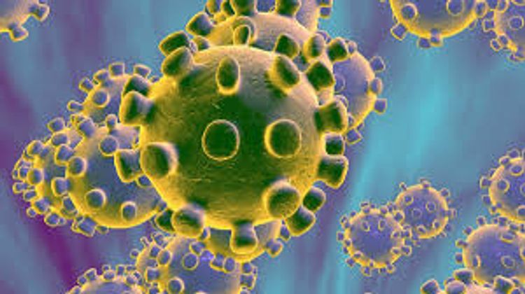 Estonia says it has first confirmed coronavirus case
