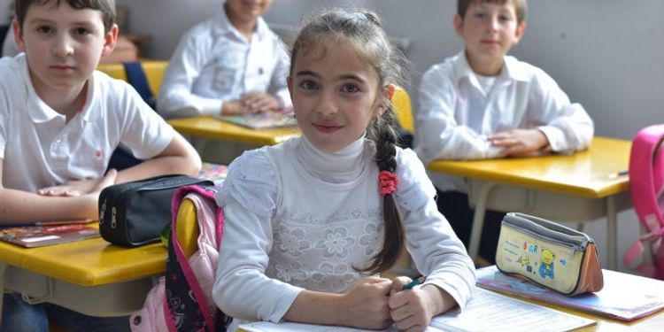 Gürcüstanda təhsil müəssisələrində sanitar nəzarət gücləndirilib