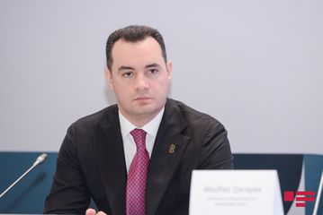 Bakıda mədəniyyət və incəsənət biznesinə dair forum keçirilib - FOTO