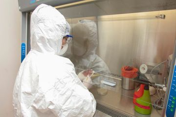 AQTİ koronavirus təhlükəsi ilə bağlı gücləndirilmiş iş rejiminə keçib