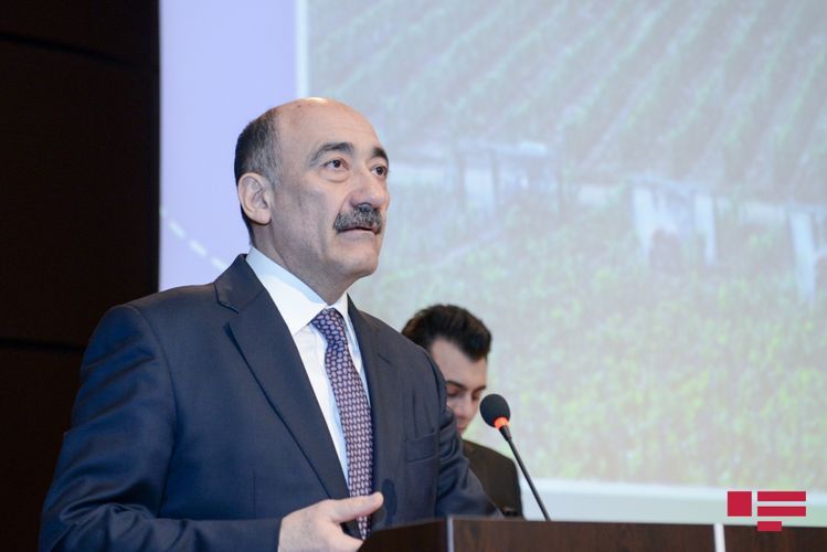 Azerbaijani Minister of Culture: “There is no ground for restricting cultural, mass events”