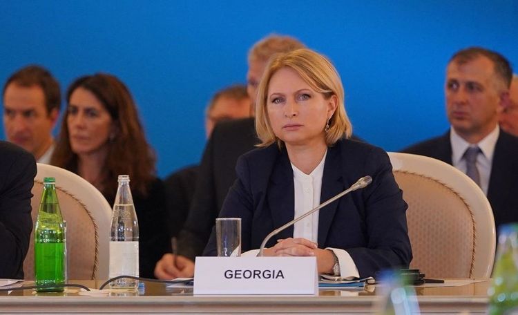 Nazir: "TANAP Gürcüstanı beynəlxalq oyunçuya çevirdi"