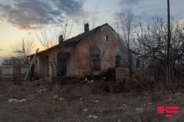 Göygöldə ata evi yandıran oğlunu güllələyərək öldürüb - FOTO