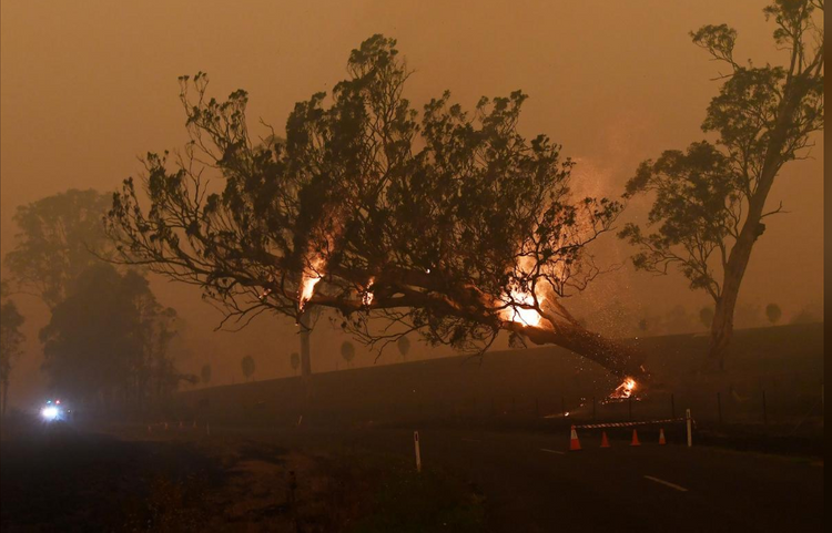 Australia uses bushfires breather to plan for the next onslaught