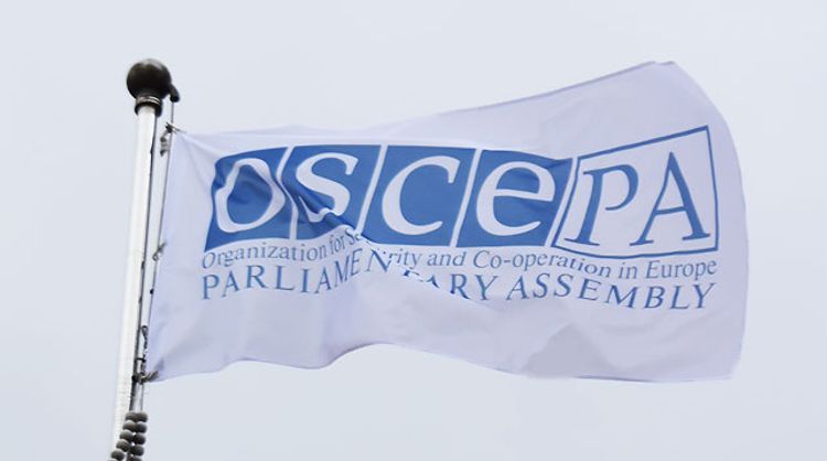 ПА ОБСЕ направит наблюдательную миссию на внеочередные парламентские выборы в Азербайджан
