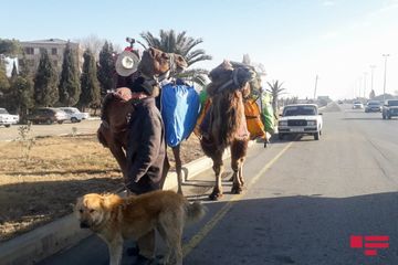 İranın cənubundan dəvə ilə səyahətə çıxan turist 9 ay sonra Gəncəyə çatıb - FOTO