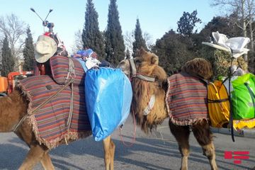 İranın cənubundan dəvə ilə səyahətə çıxan turist 9 ay sonra Gəncəyə çatıb - FOTO