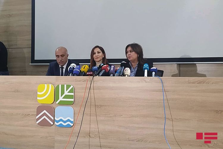 Umayra Taghieva: "Height of the waves on Oil Rocks reached 3.2 m"