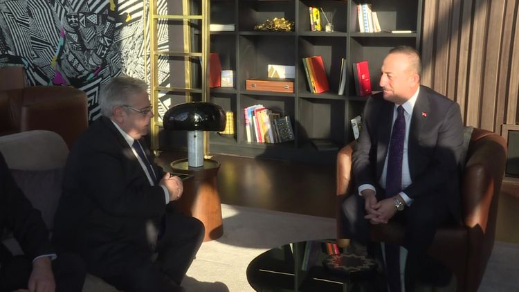 Çavuşoğlu Avropa Parlamentinin Türkiyə üzrə məruzəçisi ilə görüşüb