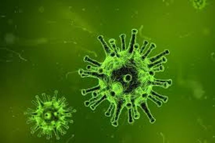 Australia declares first confirmed case of coronavirus