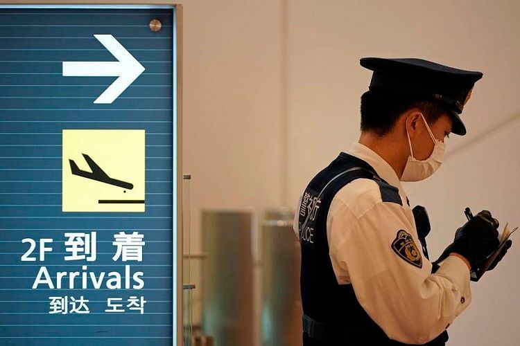 В Китае запретили продажу диких животных из-за коронавируса