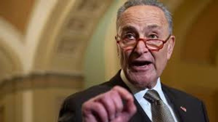 Chuck Schumer dismisses proposal to study Bolton