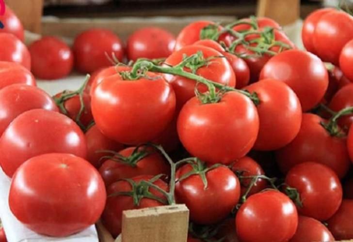 Azərbaycan ötən il 190 mln. dollarlıq pomidor ixrac edib