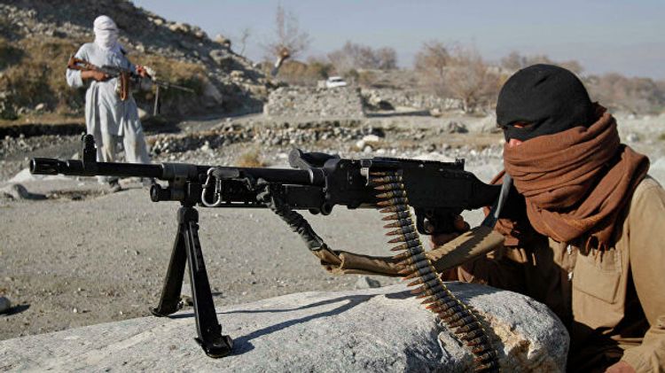 Пентагон опубликовал доклад о связях России и Талибана