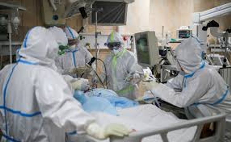 В Бразилии число жертв коронавируса превысило 60 тысяч человек