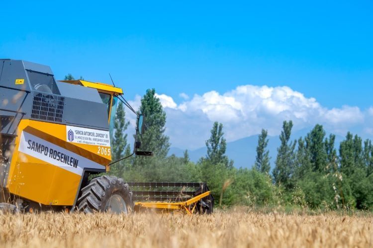 More than 2.2 mln. tons of grain collected in Azerbaijan so far